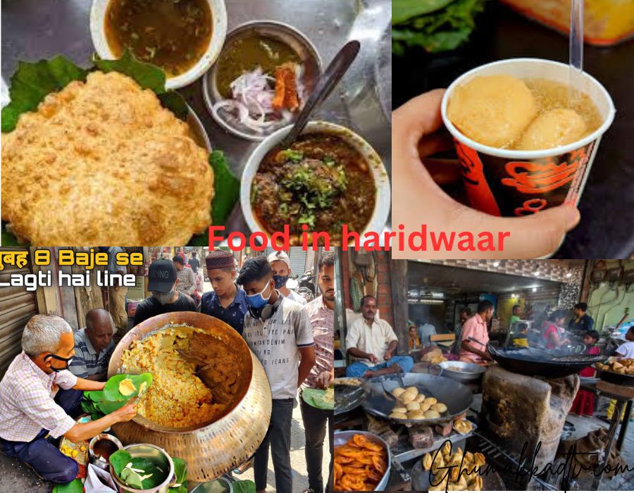 Food in haridwar